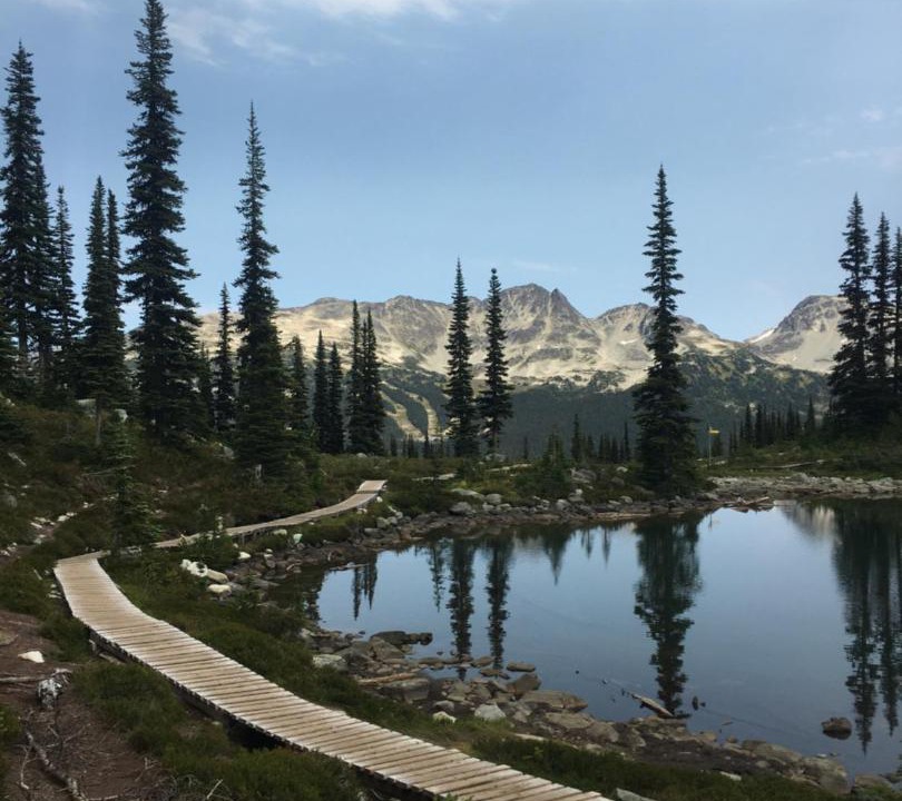 Photo of Others in Alpine Meadows
