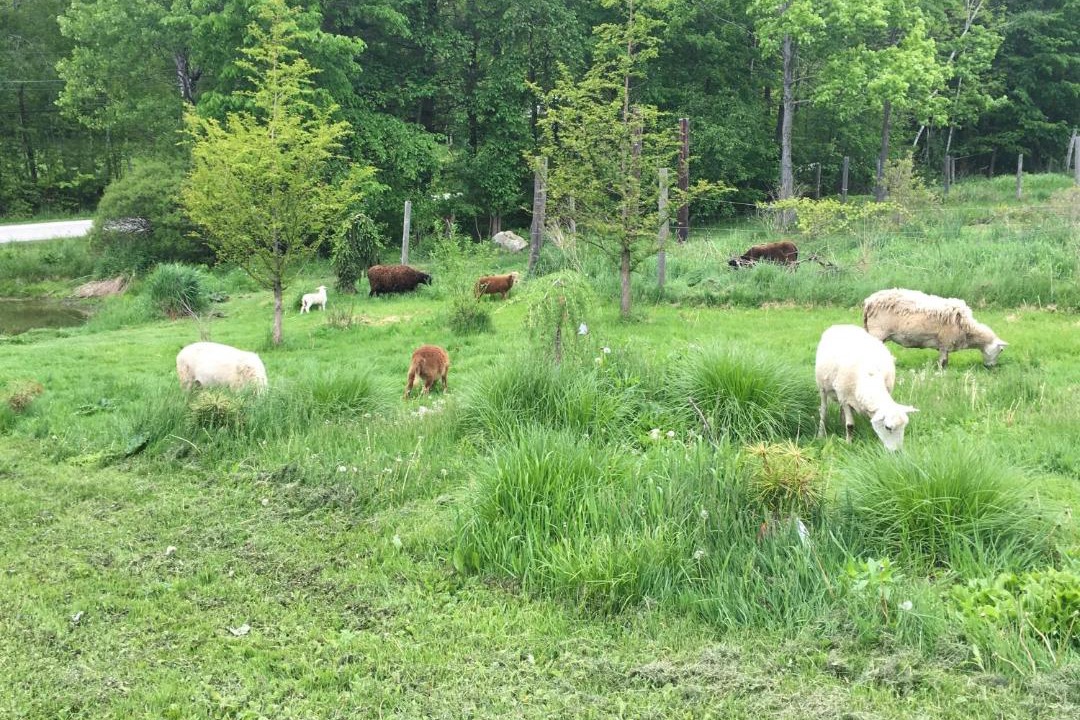 Photo of Others in Danville