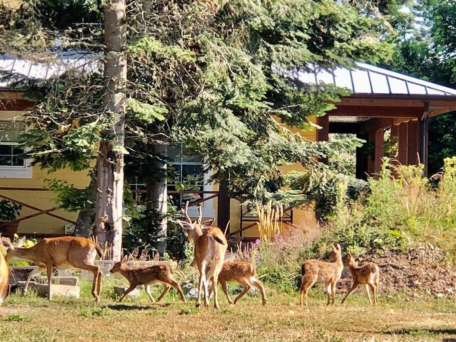 Photo of Others in Sooke