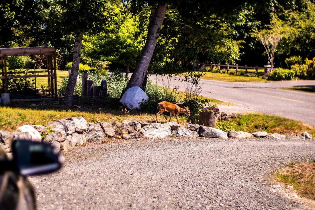 Photo of Others in Sooke