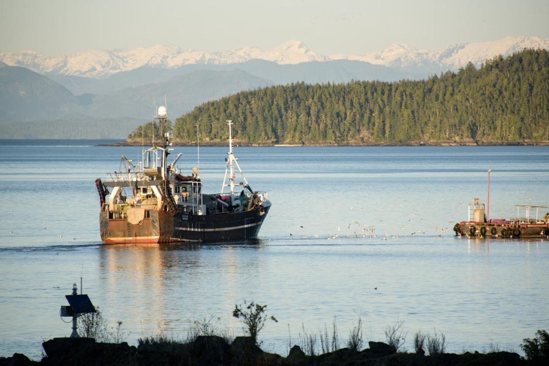 Photo of Others in Port Hardy
