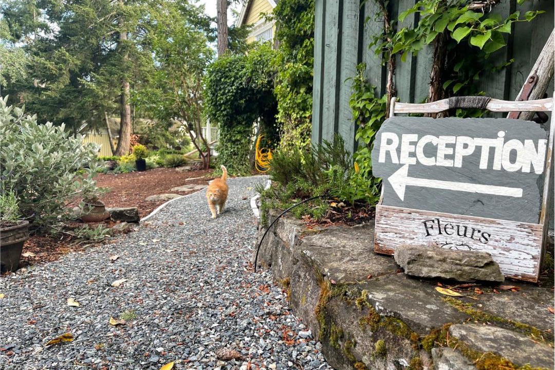 Photo of Others in Salt Spring Island