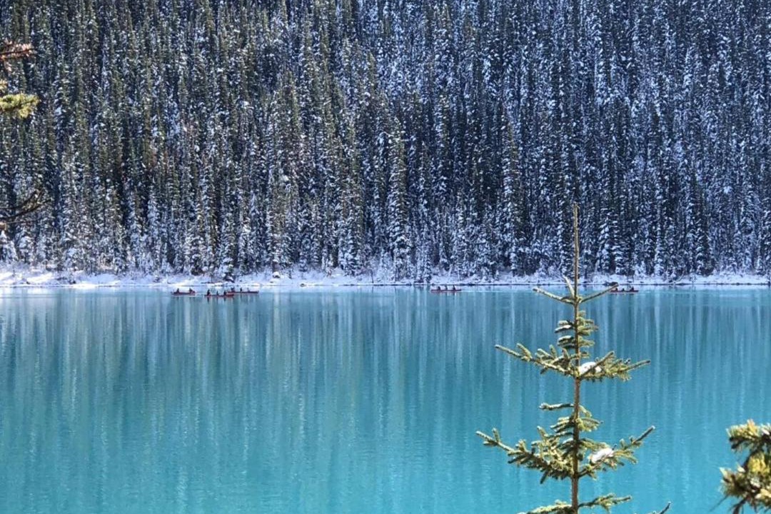 Photo of Others in Canmore