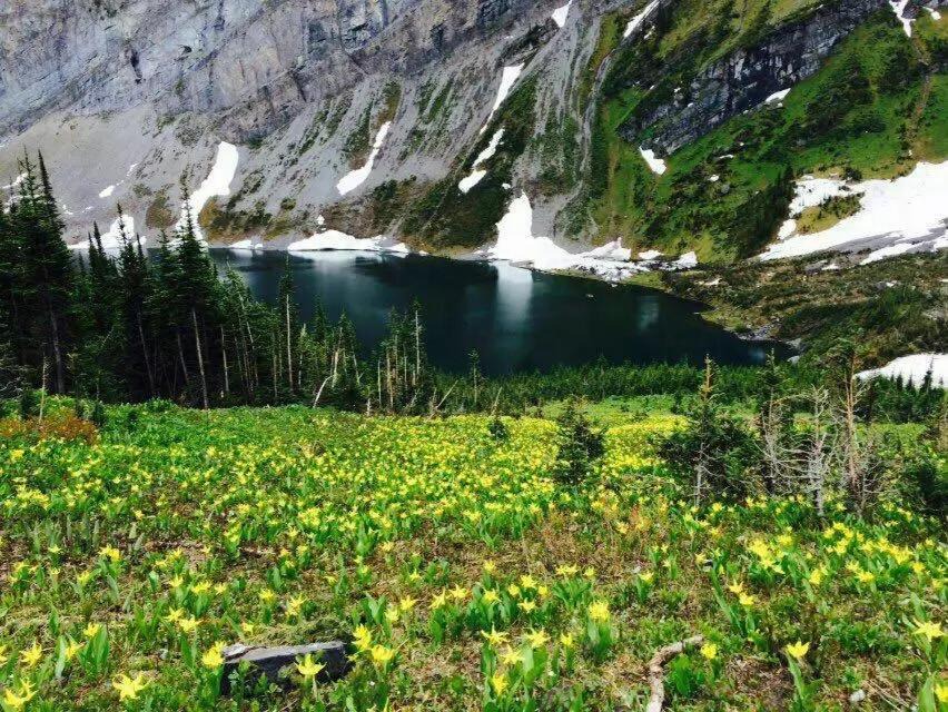 Photo of Others in Canmore