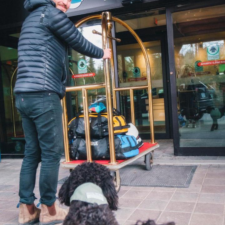 Photo of Others in Whistler Village