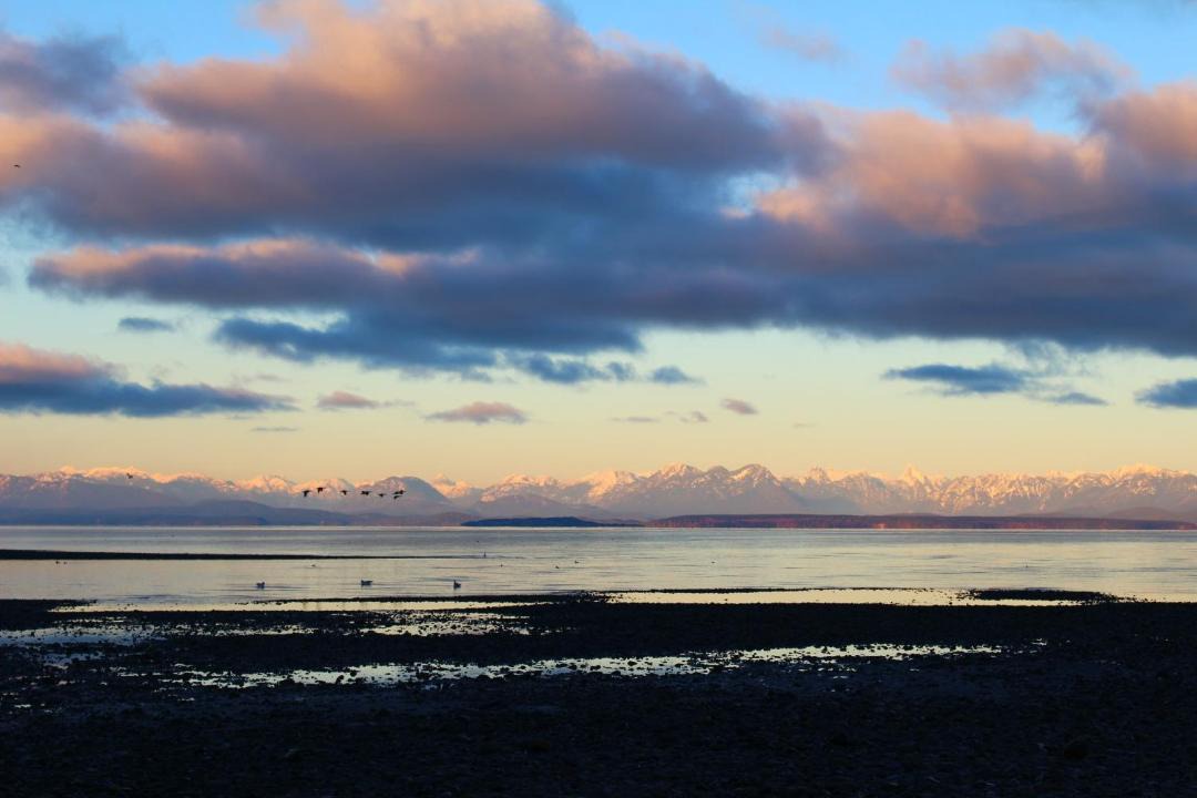 Photo of Others in Campbell River