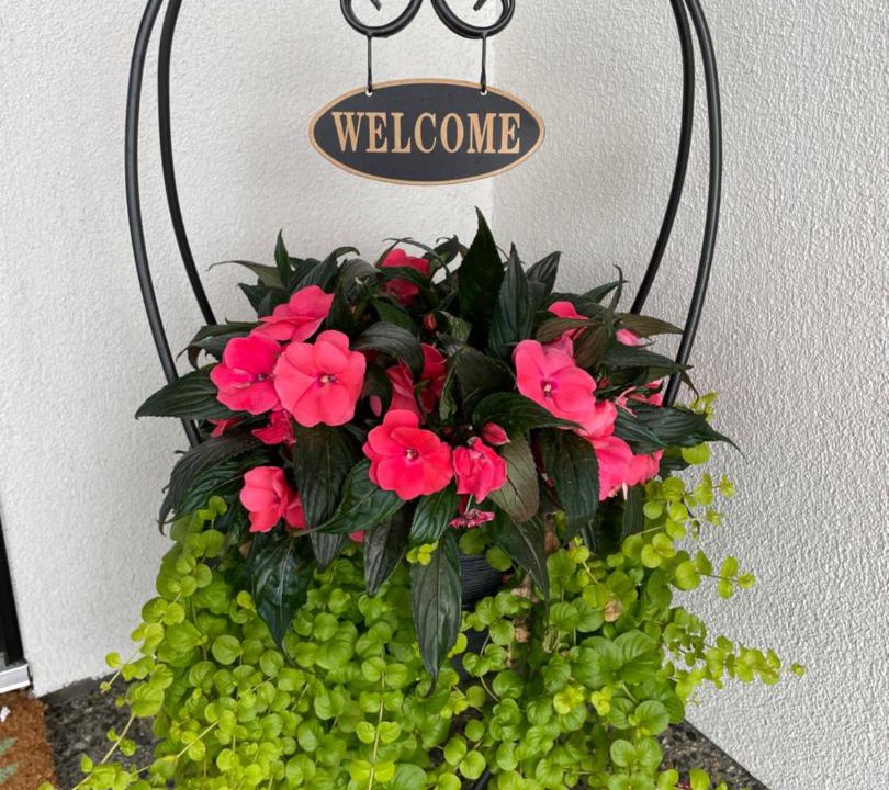 Photo of Patio Balcony in Shannon Lake
