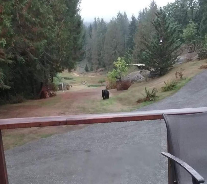 Photo of Others in Port Alberni