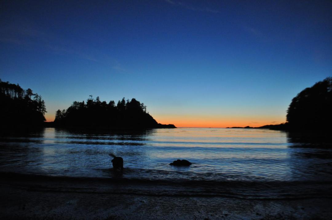 Photo of Others in Ucluelet