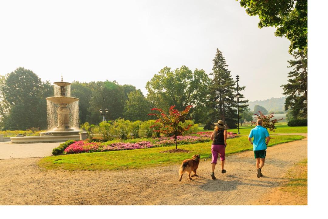 Photo of Others in Central Hamilton