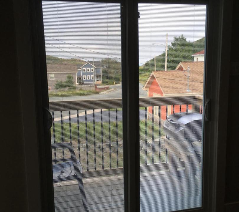 Photo of Others in Quidi Vidi