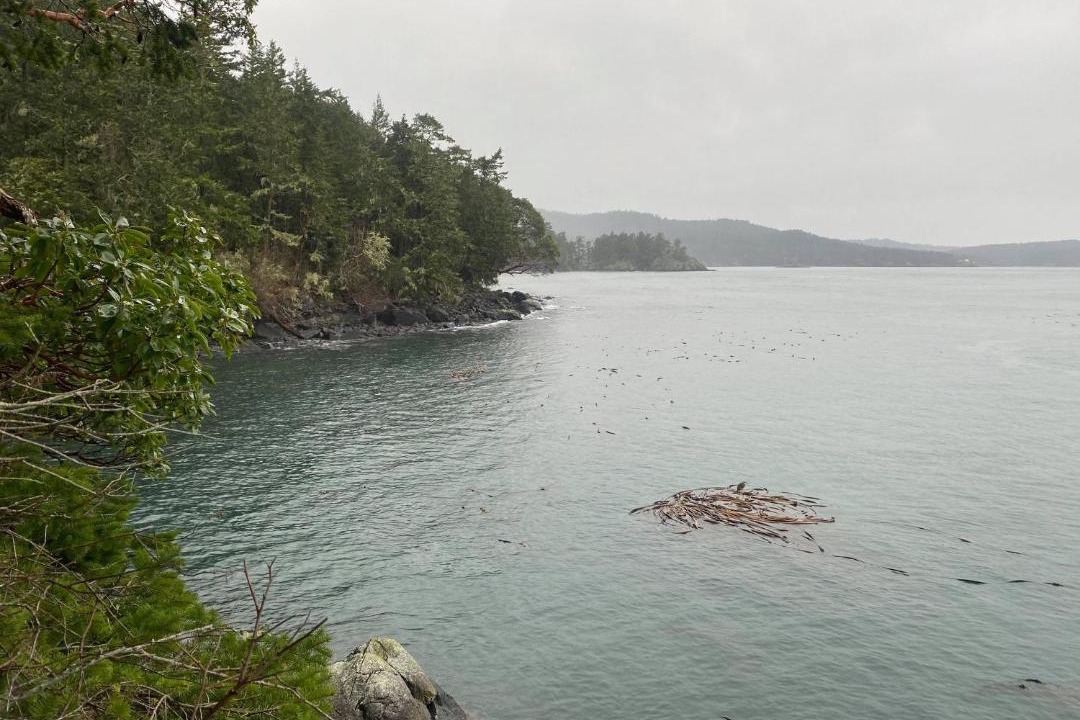 Photo of Others in Juan de Fuca Electoral Area