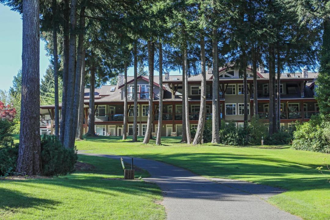 Photo of Others in Courtenay