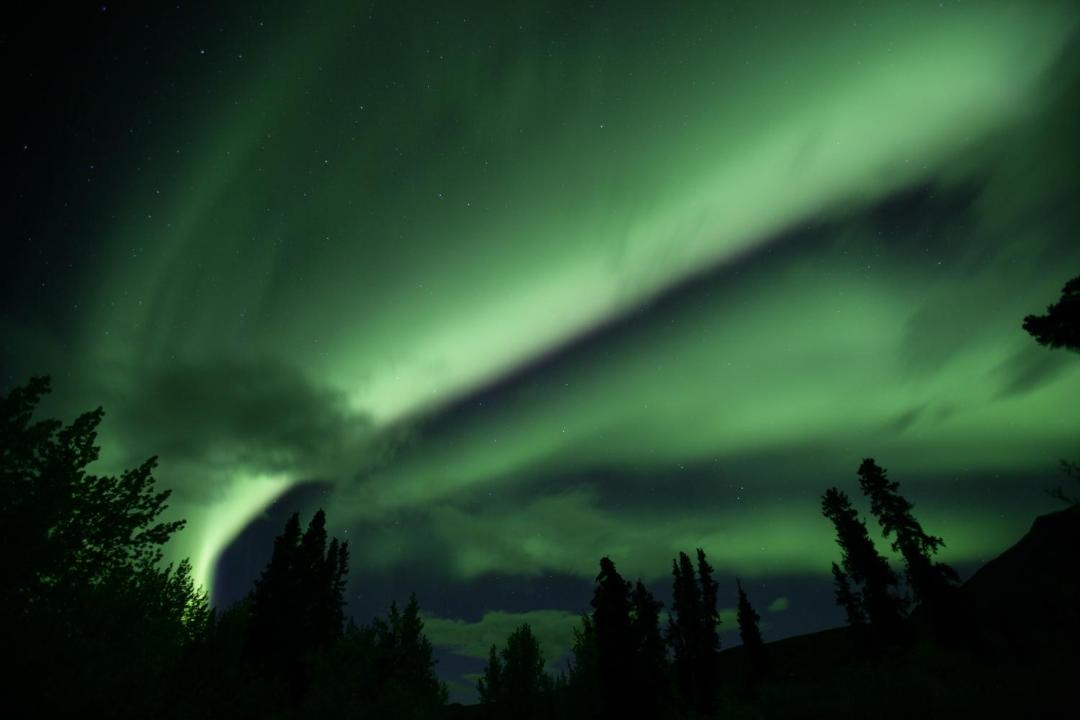 Photo of Others in Whitehorse