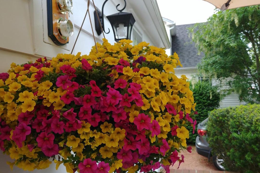 Photo of Others in Old Town Historic District