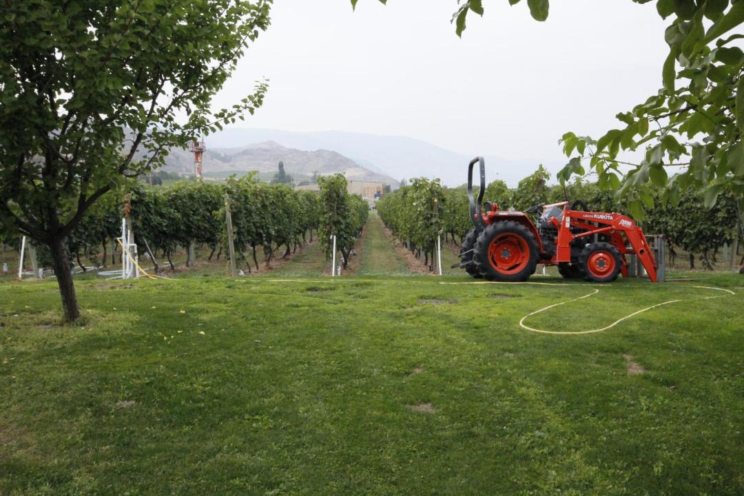 Photo of Others in Osoyoos