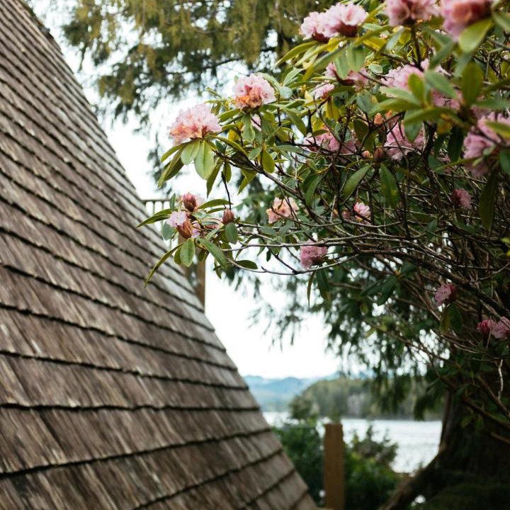 Photo of Others in Tofino