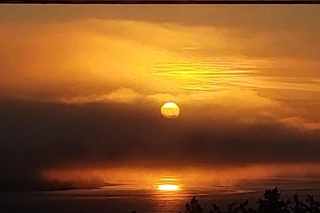 Photo of Others in Campbell River