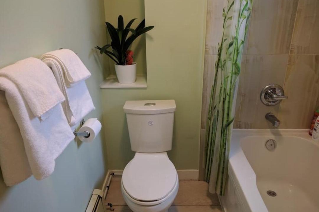 Photo of Bathroom in Renfrew-Collingwood