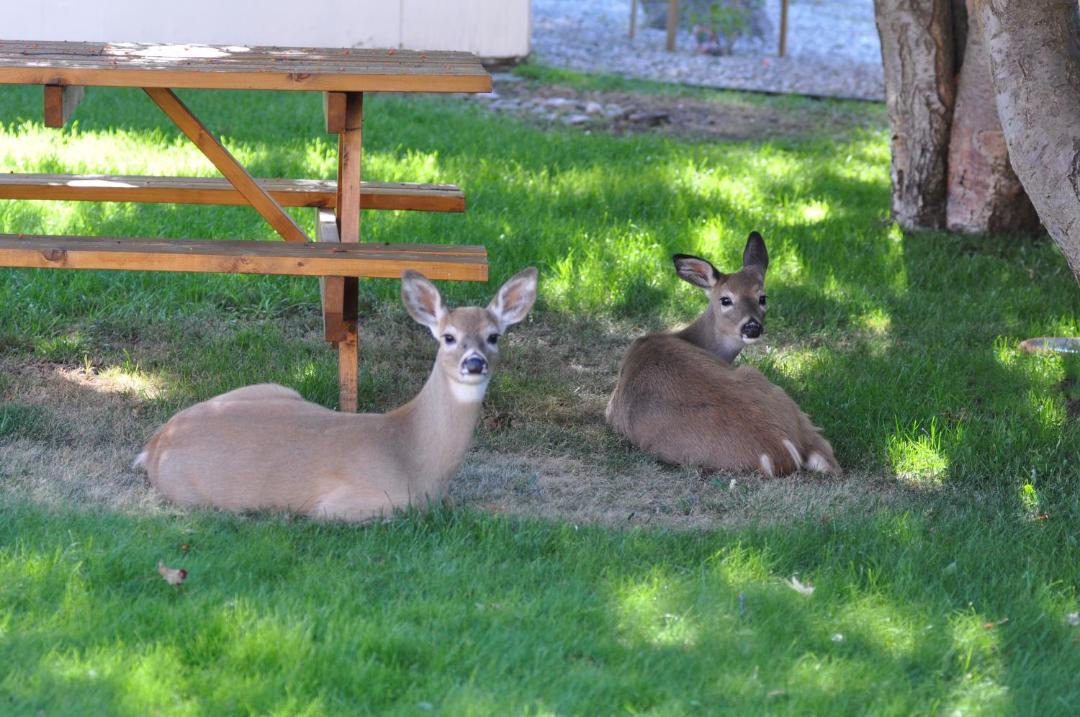 Photo of Others in Grand Forks
