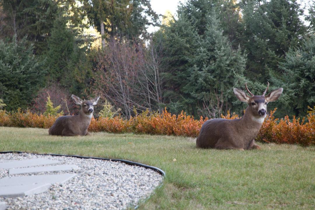 Photo of Others in Gibsons