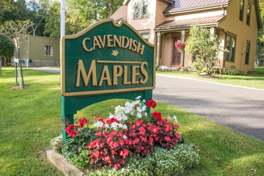 Photo of Others in Cavendish