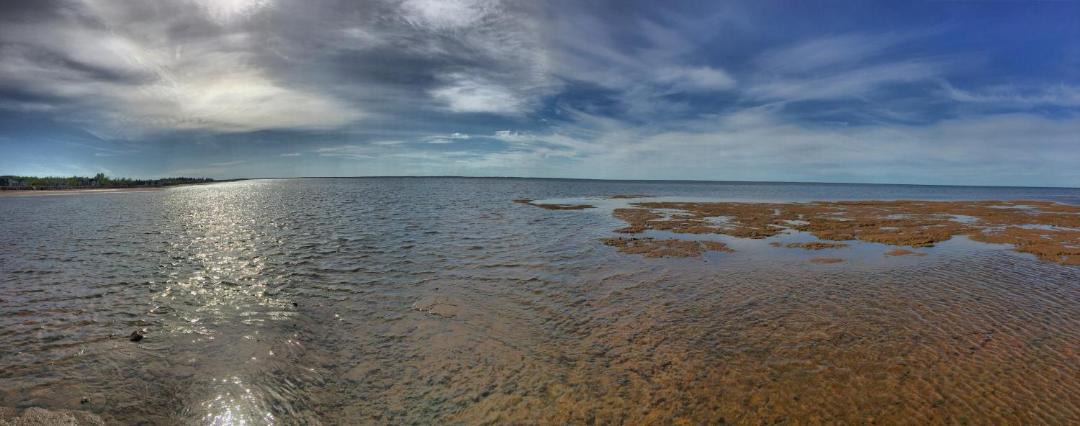 Photo of Others in Grand Barachois