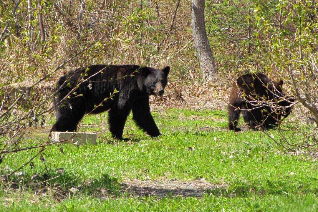 Photo of Others in Stewart