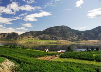 Photo of Others in Osoyoos