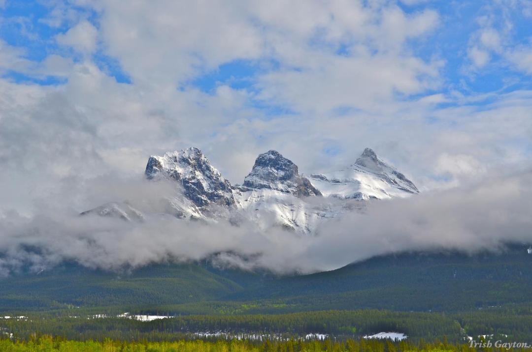 Photo of Others in Canmore