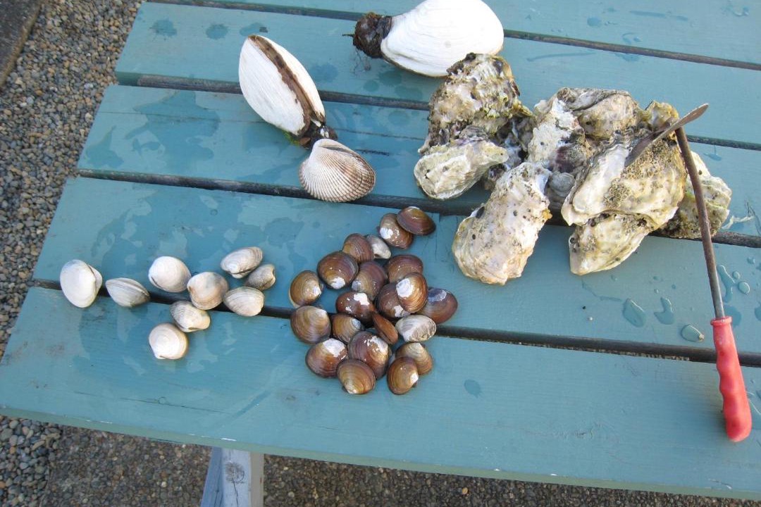 Photo of Others in Regional District of Nanaimo