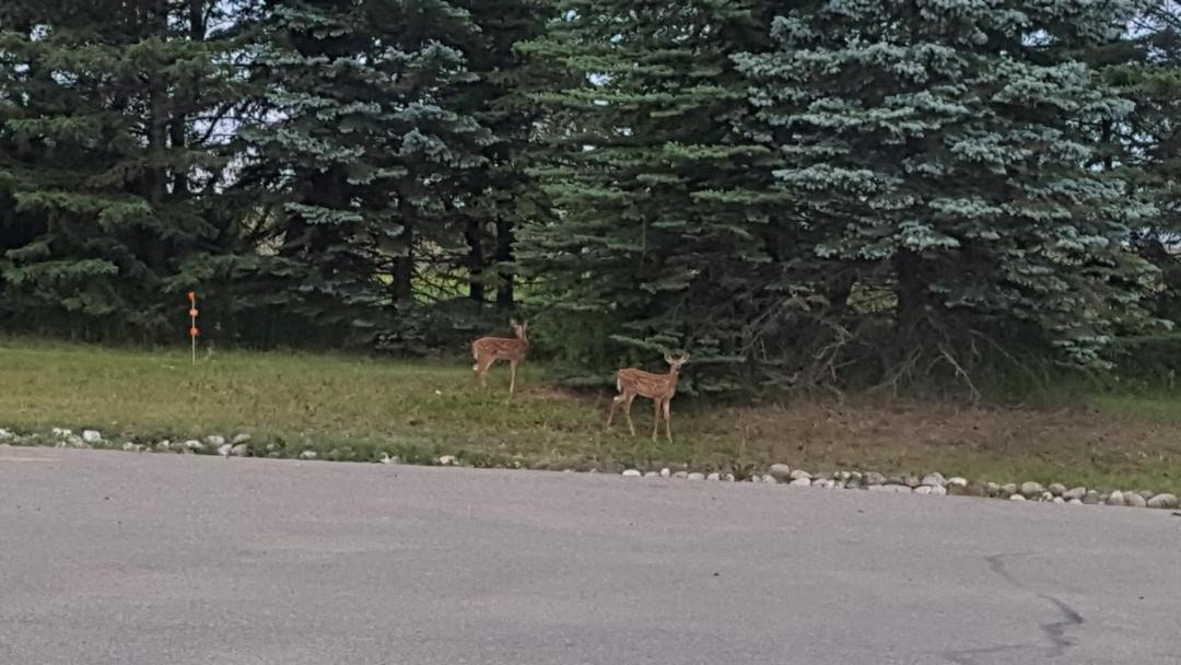 Photo of Others in Brandon