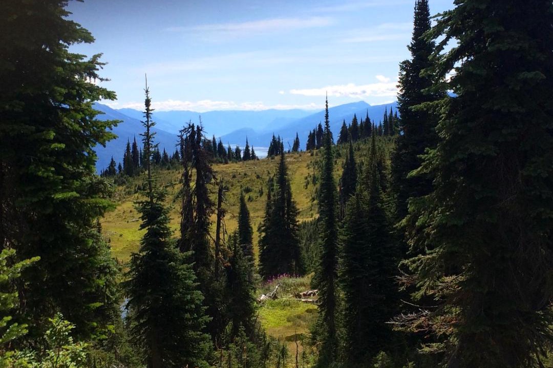 Photo of Others in Revelstoke
