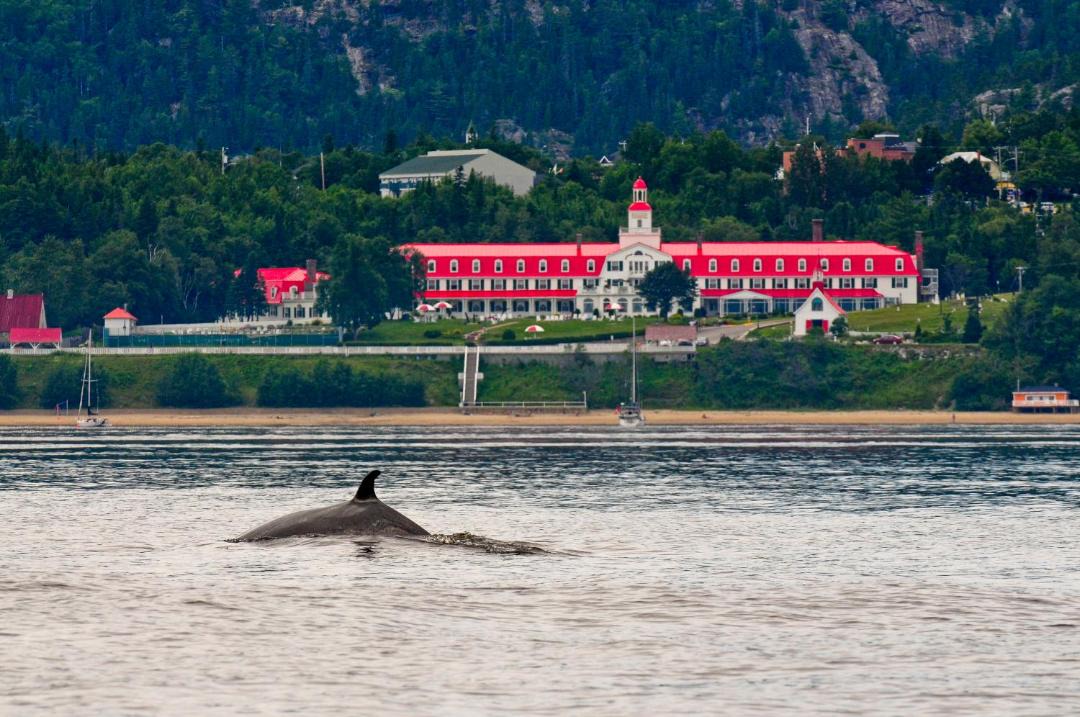 Photo of Others in Tadoussac