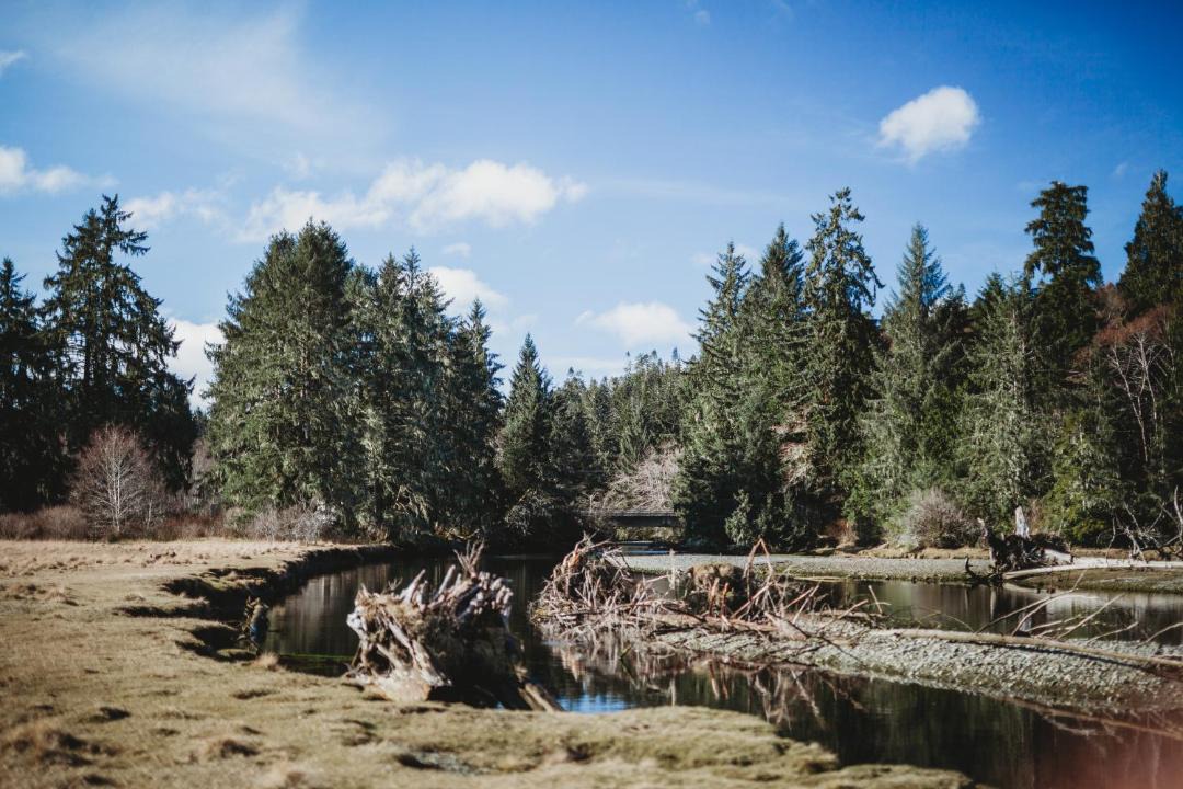 Photo of Others in Port Hardy