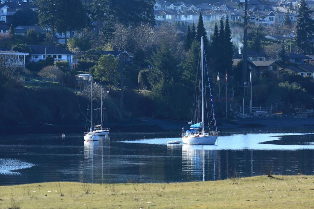 Photo of Others in Port Hardy