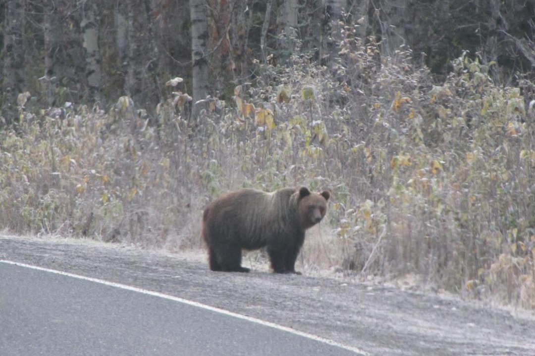Photo of Others in Stewart