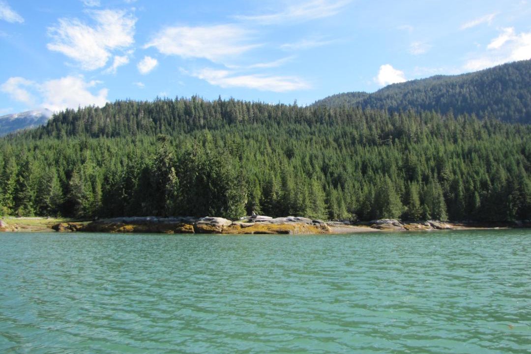 Photo of Others in Stewart