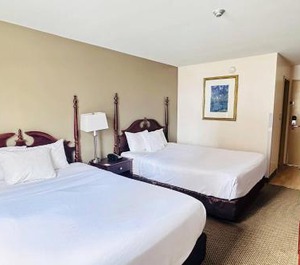 Econo Lodge City Centre 