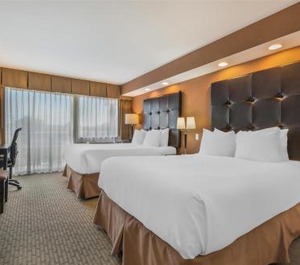 The Hotel 