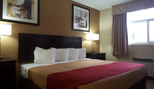 Standard Room, 1 King Bed, Non Smoking