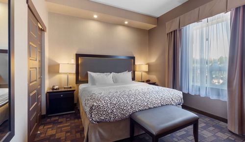 Standard Room, 1 King Bed, Non Smoking, Refrigerator & Microwave