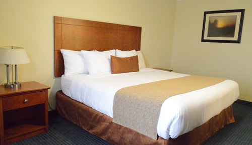 Superior Room, 1 King Bed, Fireplace