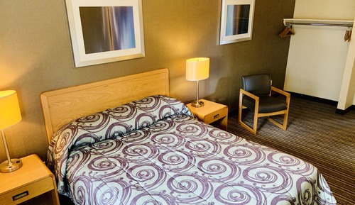 Deluxe Studio Suite