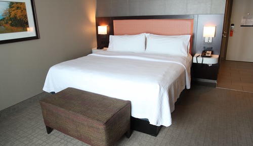 Room, 1 King Bed