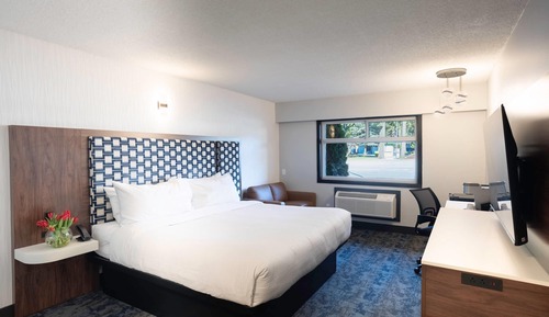 Standard Room, 1 King Bed, Non Smoking