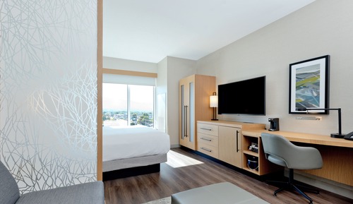 Room, 1 King Bed with Sofa bed, Accessible (Shower)