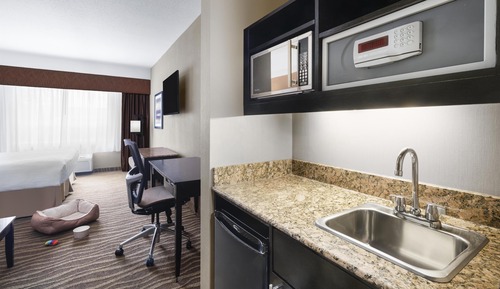 Standard Room, 1 King Bed, Accessible (Pet Friendly;w/Sofabed:Ground Fl)