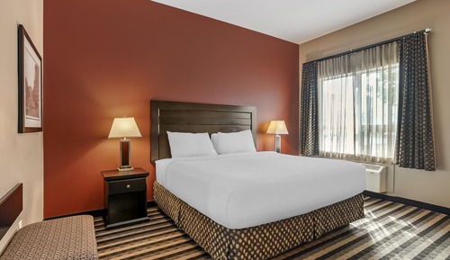 Standard Room, 1 King Bed, Accessible, Non Smoking (Walk-in Shower)