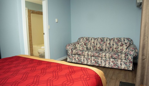 Standard Suite